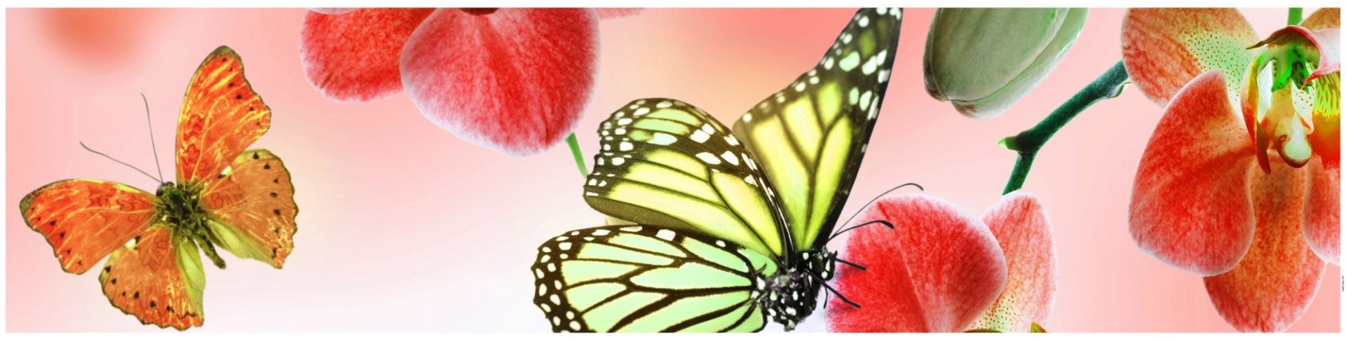 Комплект Фартук "Бабочка-1" 2,44*0,61м + Клей "Звезда", 0,4 л - артикул K0000117333