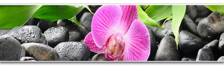 Комплект Фартук "Орхидея-2" 2,44*0,61м + Клей "Звезда", 0,4 л - артикул K0000117345