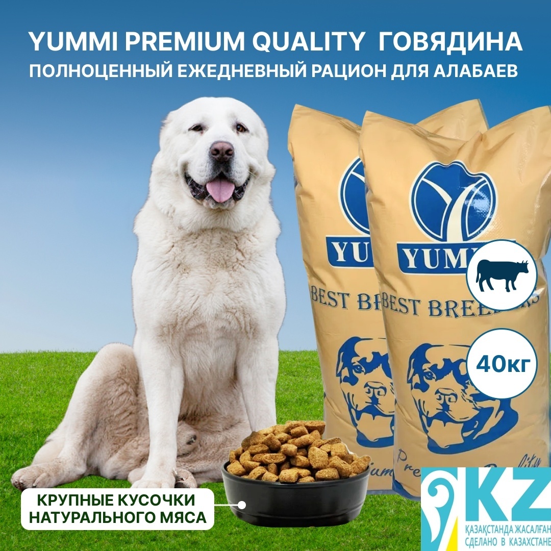 сухой корм для собак YUMMI Premium quality говядина 20 кг для алабаев 2 упаковки - артикул K0000109823