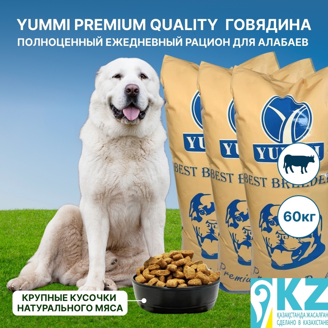 сухой корм для собак YUMMI Premium quality говядина 20 кг для алабаев 3 упаковки - артикул K0000109825