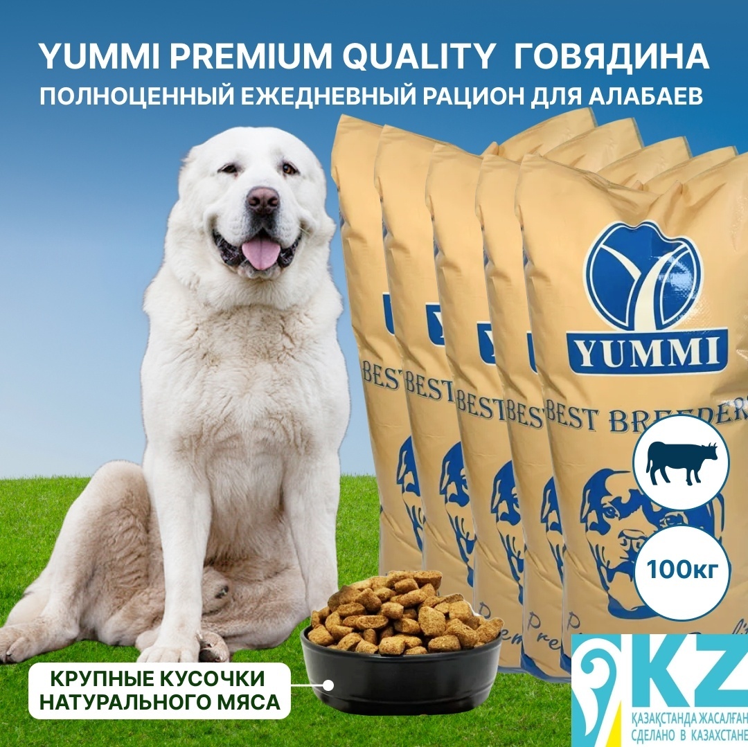 сухой корм для собак YUMMI Premium quality говядина 20 кг для алабаев 5 упаковок - артикул K0000109826