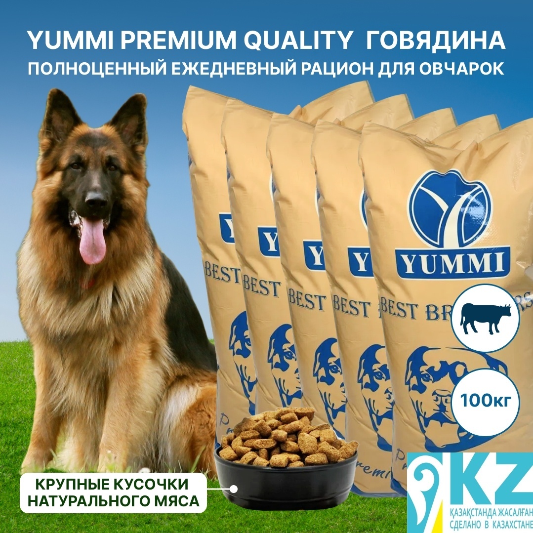 сухой корм для собак YUMMI Premium quality говядина 20 кг для овчарок 5 упаковок - артикул K0000109832