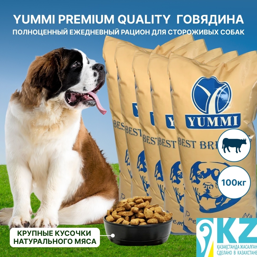 сухой корм для собак YUMMI Premium quality говядина 20 кг для сторожевых 5 упаковок - артикул K0000109835