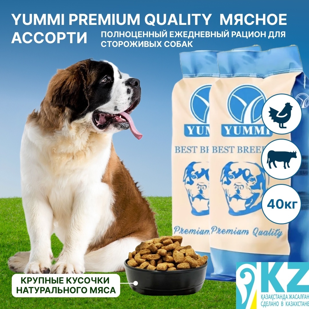 сухой корм для собак YUMMI Premium quality мясное ассорти 20 кг для сторожевых 2 упаковки - артикул K0000109844