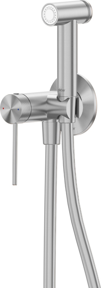Смеситель ABBER Emotion 316 AF8825BST с гигиеническим душем, брашированная сталь - артикул K0000319828