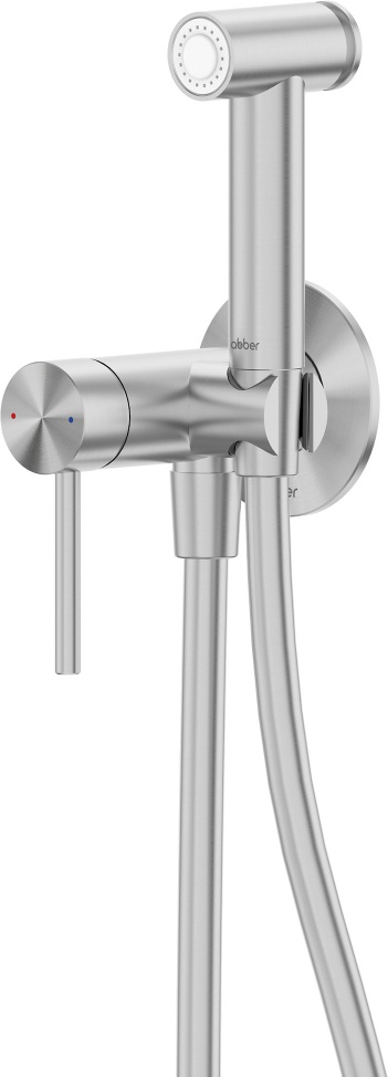 Смеситель ABBER Wasser Kreis 316 AF8125BST с гигиеническим душем, брашированная сталь - артикул K0000319834