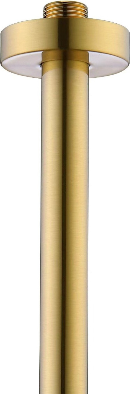Держатель для душа-200 мм Bravat, матовое золото (D328RBG-ENG) - артикул K0000346624